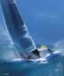 �X�p��