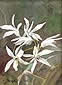 �����