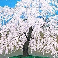 小石川後楽園の枝垂れ桜