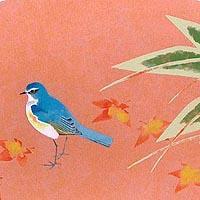 瑠璃翁(秋)