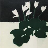 白いシクラメンの花束