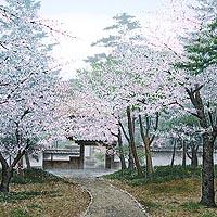 薫風・南禅寺