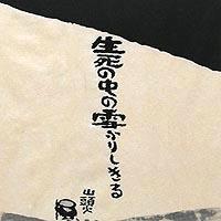 雪降りしきる
