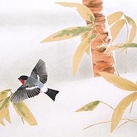 紅鳥