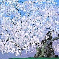 神代桜