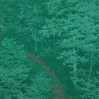 登り道