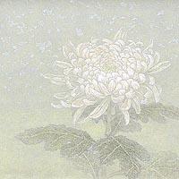 菊