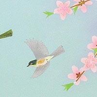 鳥たちの詩・春