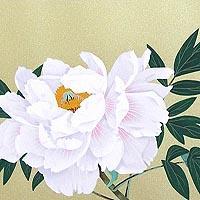白牡丹