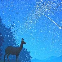 満天の頂