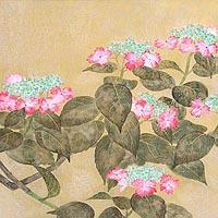 紅額紫陽花