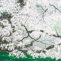 一心行の桜