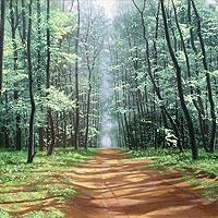 武蔵野