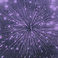 片貝花火B