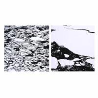 富岡惣一郎の取扱実績。絵画のことならアンシャンテへ