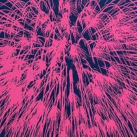 花火B