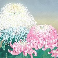 秋華
