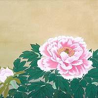 牡丹