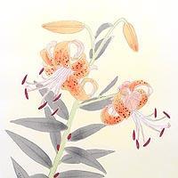盛夏