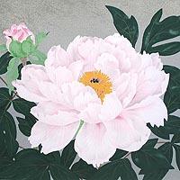 富貴花
