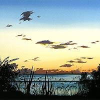 おとずれた時