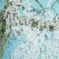 三宝院の桜花(雪・月・花三題)