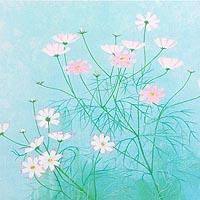 秋桜