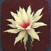 業の花びら
