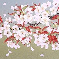 桜花