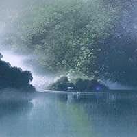 IN TO THE MIST