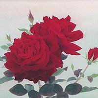 薔薇