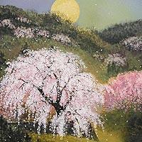 (夜桜)