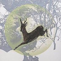渓