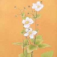 貴船菊