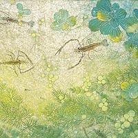 水遊び