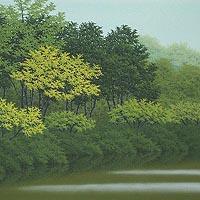 爽緑