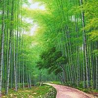 竹林