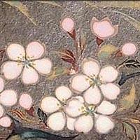 (桜)