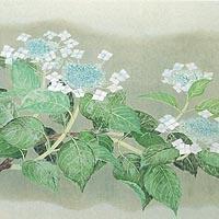 紫陽花