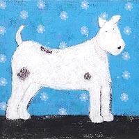 Dog with spots