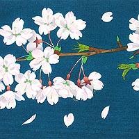 さくら