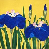 花菖蒲