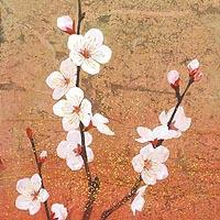 白梅