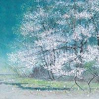 湿原の春