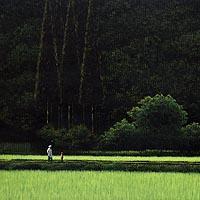 絵画 油絵  岡野浩二 楽天市場】岡野浩二の通販