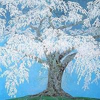 永泉寺の枝垂桜