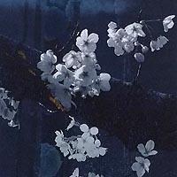幽玄