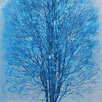 星 襄一の取扱実績。絵画のことならアンシャンテへ