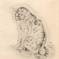 「アズバ」 猫の本より