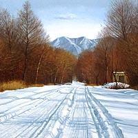 雪の道(北軽井沢)
